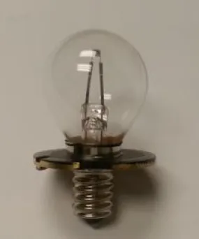 6V Perimeter Bulb