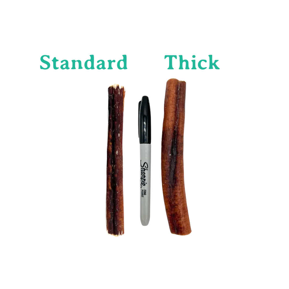 Beef Bully Stick Standard 12in - 8ct