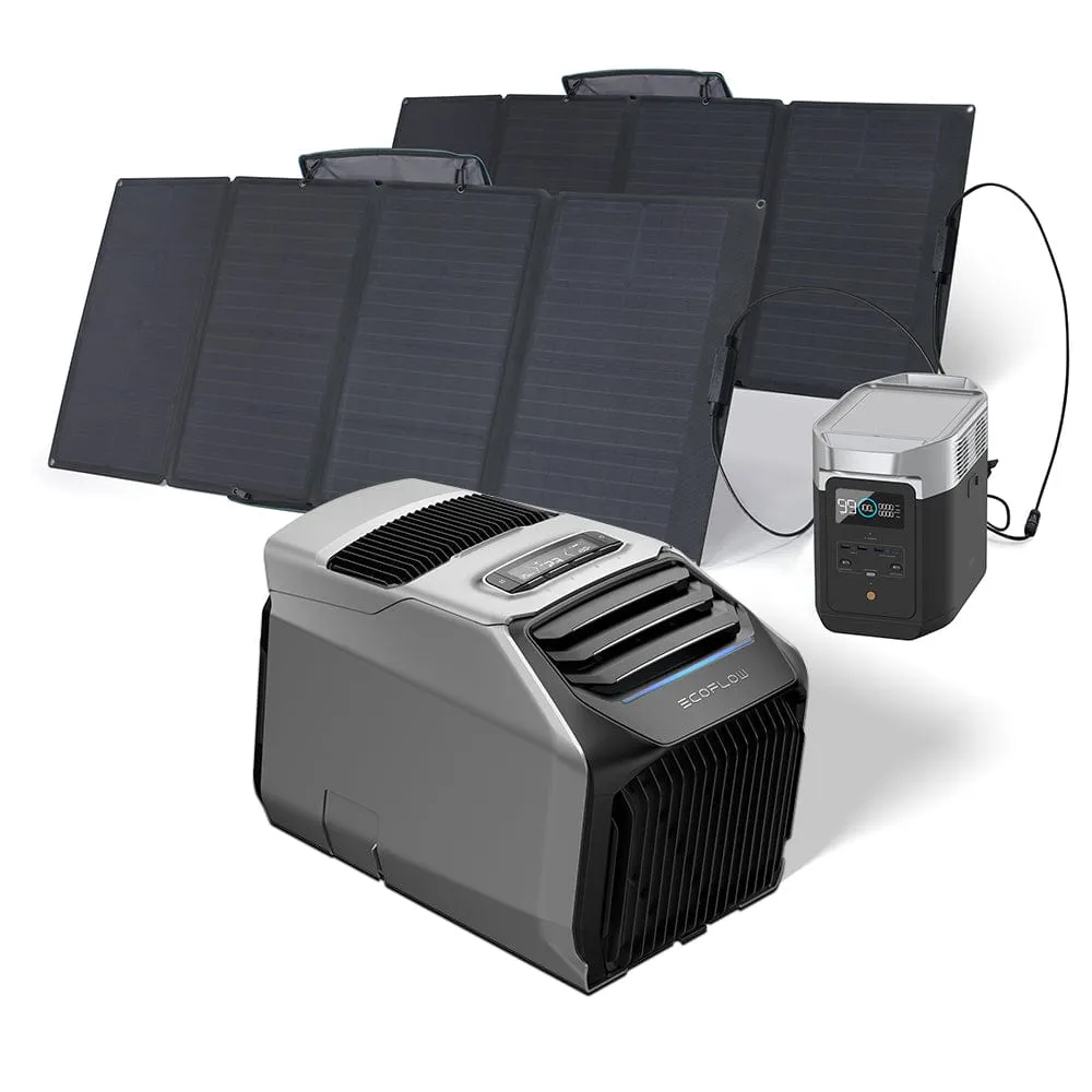 EcoFlow WAVE 2 Portable AC   DELTA 2   160W Portable Solar Panel