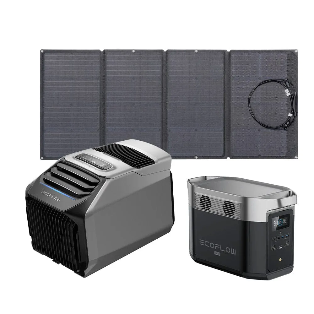 EcoFlow WAVE 2 Portable AC   DELTA Max 1600   160W Portable Solar Panel