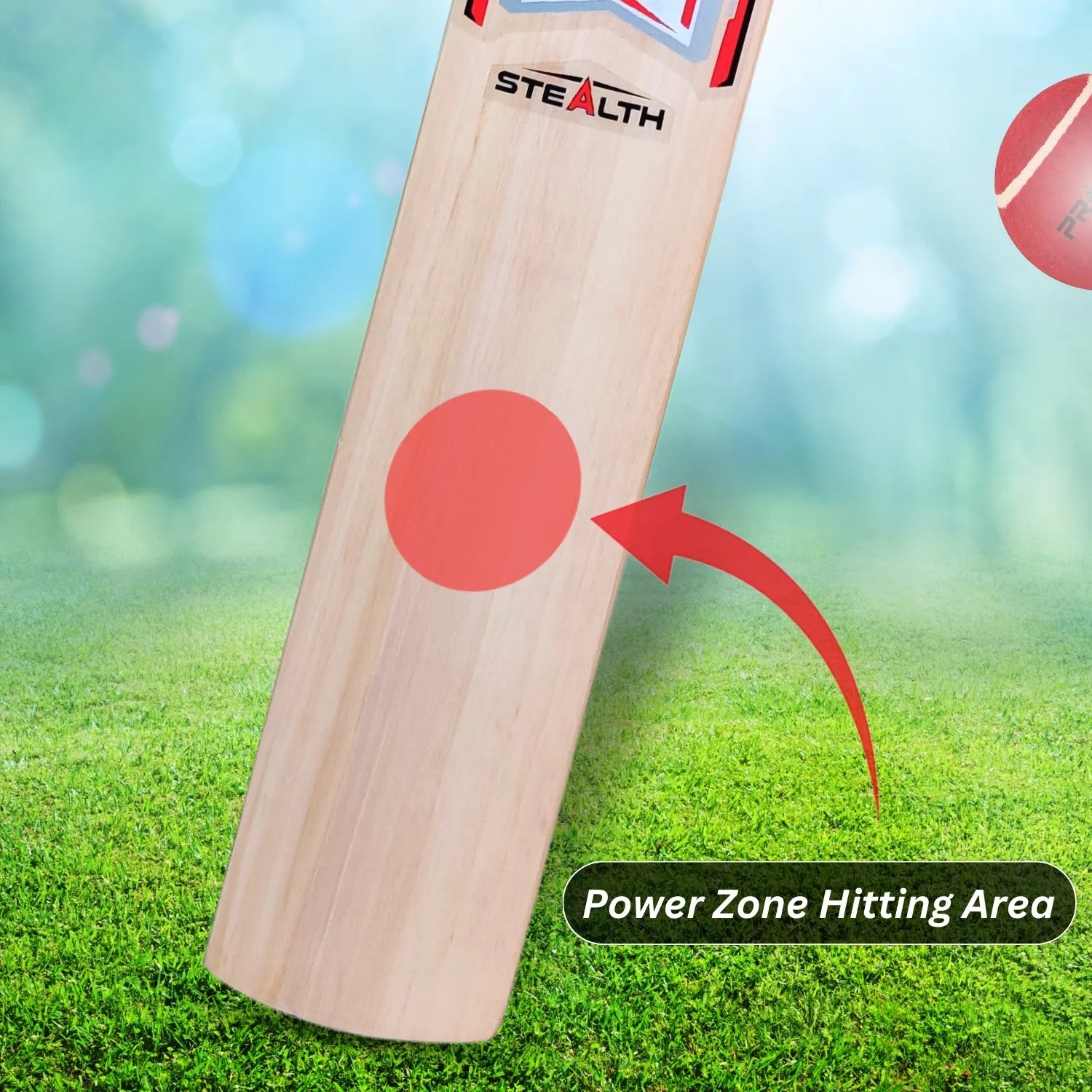 Prokick Stealth Kashmir Willow Cricket Bat