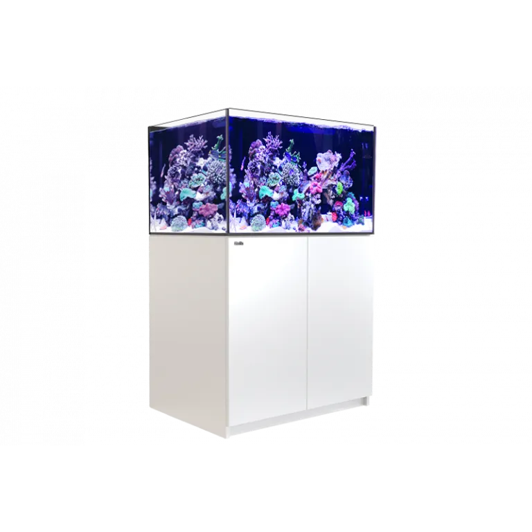 Red Sea REEFER G2  300 System 65 Gallon