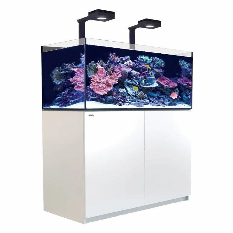 Red Sea REEFER G2  425 Deluxe 91 Gallon
