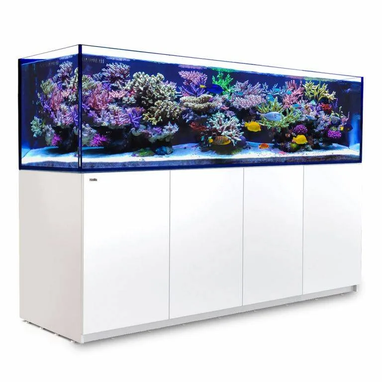 Red Sea REEFER G2  900 System 240 Gallon
