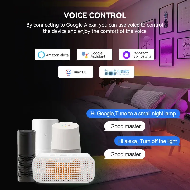 Tuya Wifi LED Controller Work with Alexa Google Assistance for SPI RGBIC WS2811 WS2812B WS2815 FCOB Addressable LED Strip Light